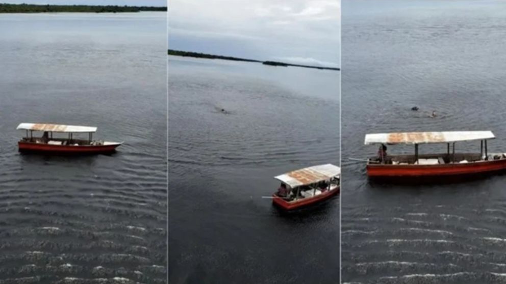Su esposo murió mientras pescaban, estuvo una semana a la deriva y sobrevivió comiendo pescado crudo.
