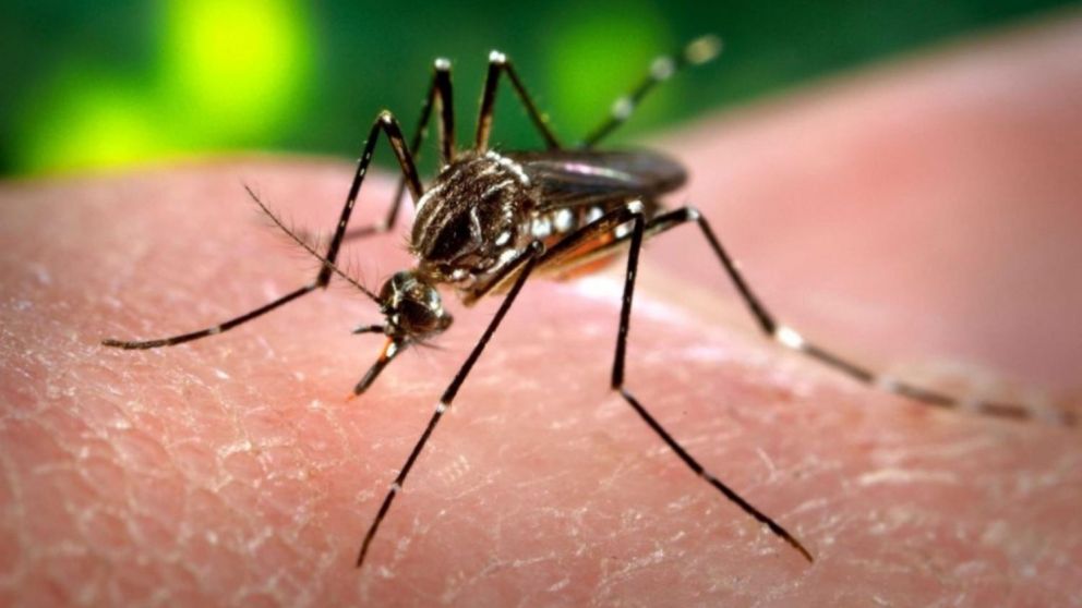 La cartera sanitaria cordobesa indicó que en esta temporada ya se registraron en la provincia 3.114 casos de dengue.