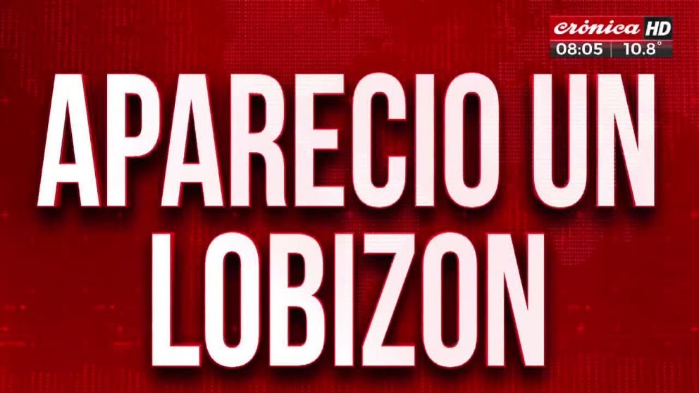 Crónica HD