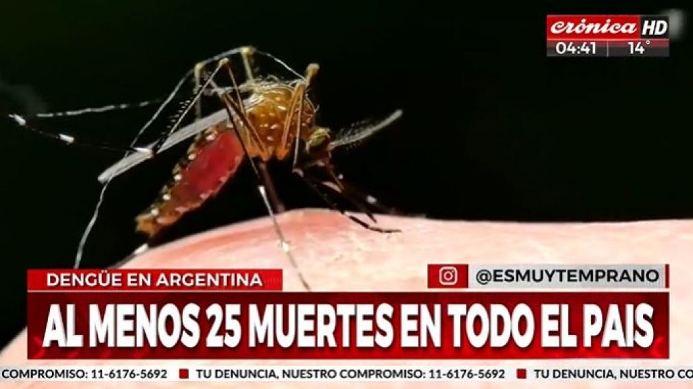 Alerta dengue: ya son 25 los muertos en el país