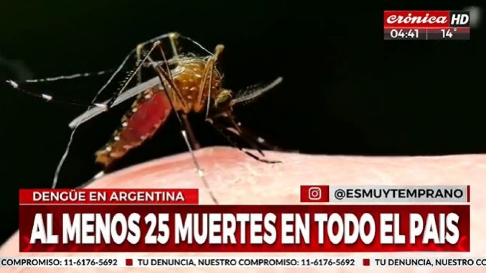 Alerta dengue: ya son 25 los muertos en el país