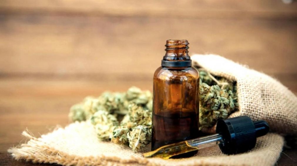 La reglamentación de la Ley de Cannabis Medicinal, clave para el desarrollo local.