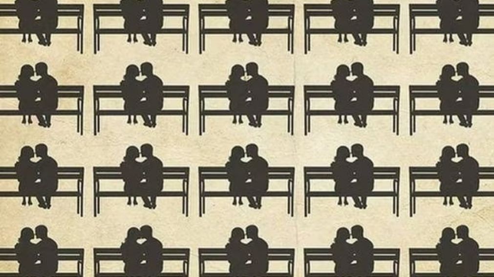 En este reto viral tendrá que hallar en menos de 5 segundos a la pareja que se diferencia al resto.