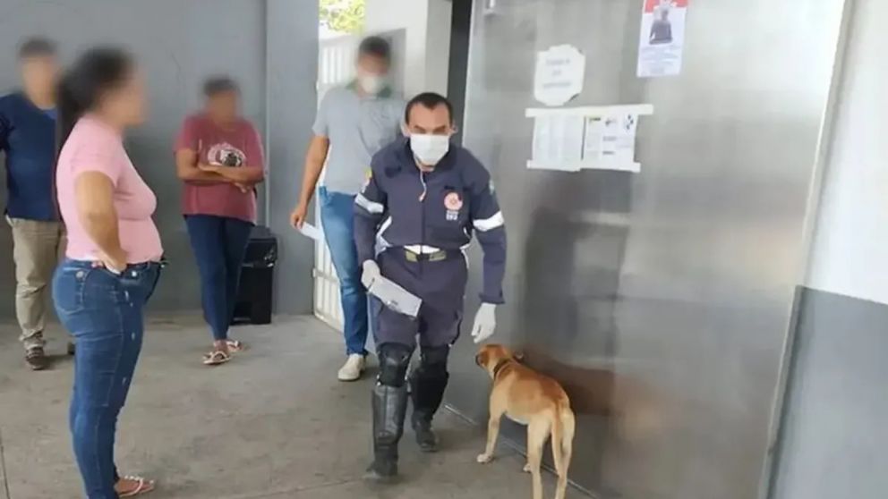 Un perro persiguió por varios kilómetros a la ambulancia que trasladaba a su dueño a un hospital (Imagen g1).