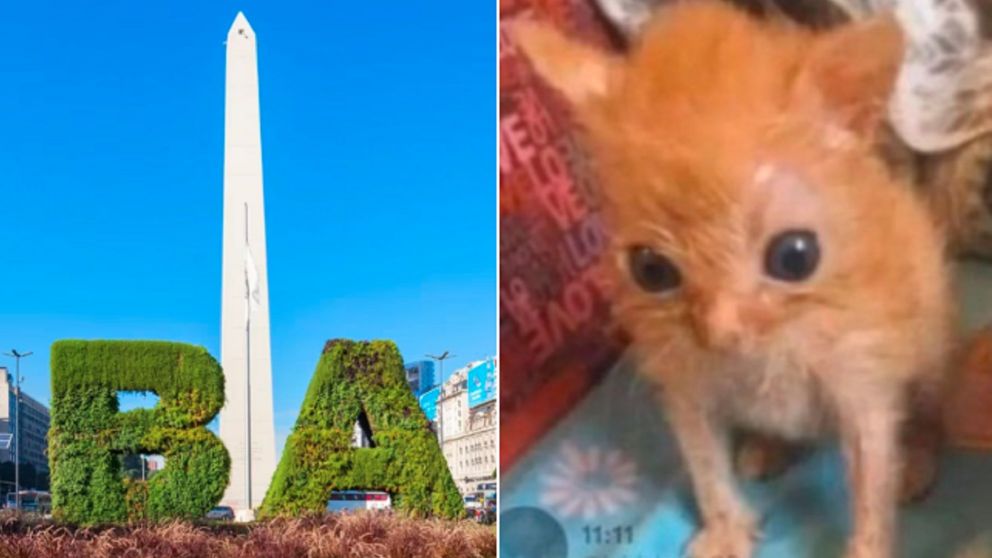 Una joven de Entre R�os visit� Buenos Aires, qued� impresionada por ciertas cosas y se volvi� viral en Twitter (Imagen: Arquimaster). 