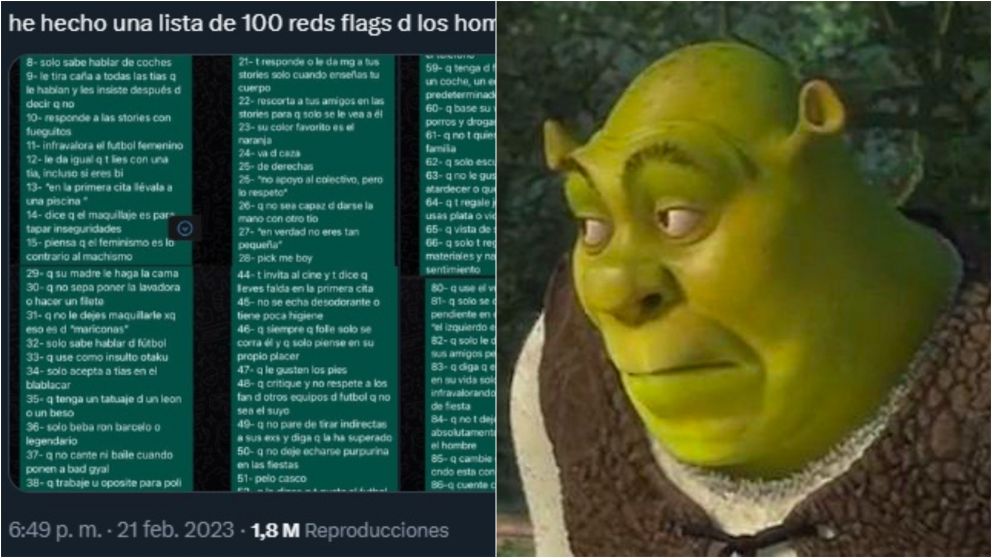 La llamativa lista de “100 red flags de los hombres” que viralizó una joven en Twitter