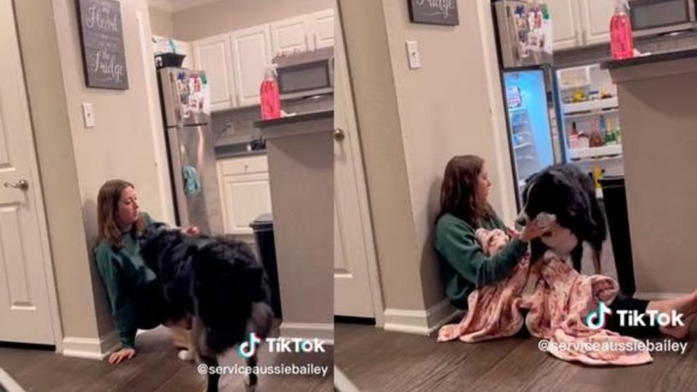 La incre�ble reacci�n de un perro para ayudar a su due�a en un ataque de taquicardia (Imagen captura v�deo).