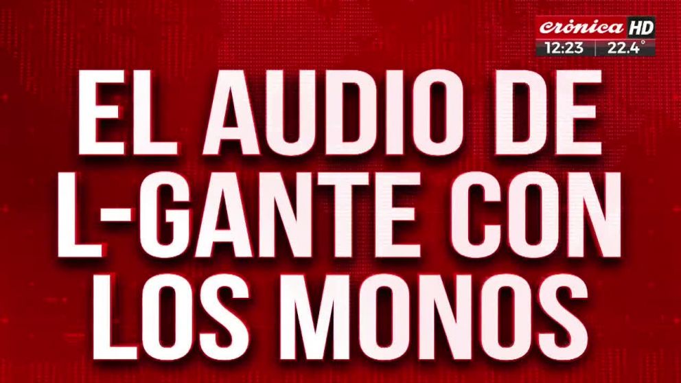 L-Gante y "Los Monos", más cerca de lo que sabías (Crónica HD).
