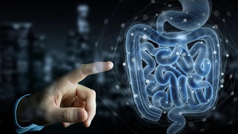 El c�ncer colorrectal es el�tercer tipo de c�ncer m�s frecuente en Estados Unidos