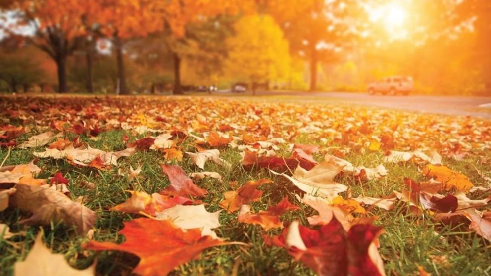 Es el momento de prepararse para recibir lo nuevo.