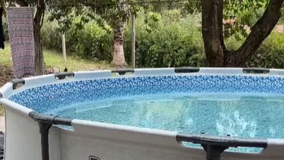 Fue a limpiar su pileta, encontr� algo horrible en el fondo y horroriz� a todos en las redes.
