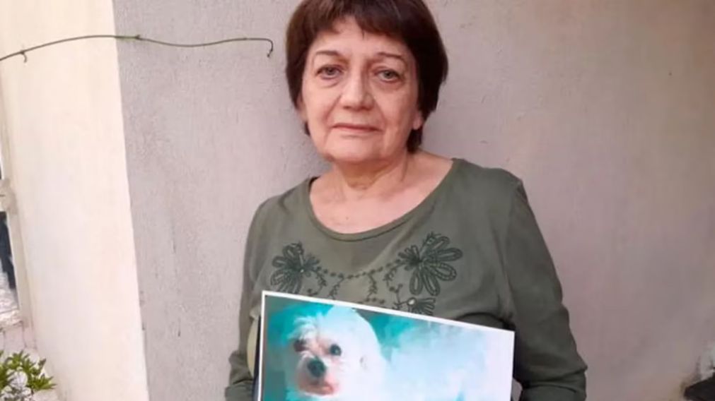 ¡Desesperada! Le robaron el auto con su perro adentro y ofrece recompensa para recuperar al can. (Gentileza El Doce)