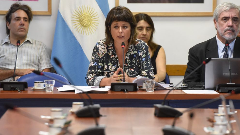 Segunda ronda de testigos en Diputados.