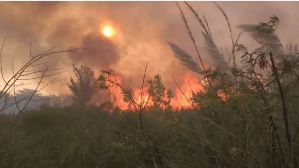 La causa está caratulada como "incendio u otro estrago" y "entorpecimiento de servicios públicos".