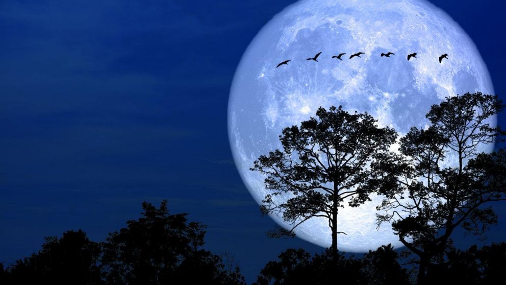 Tambi�n es conocida como la Luna llena en Virgo de marzo.