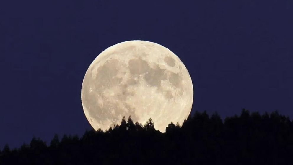 Luna llena en virgo: los signos que triunfarán en el amor.