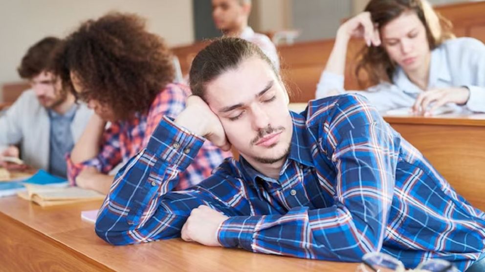 Tuitera habló sobre la carrera universitaria y abrió un debate de miedos inesperado (Twitter).