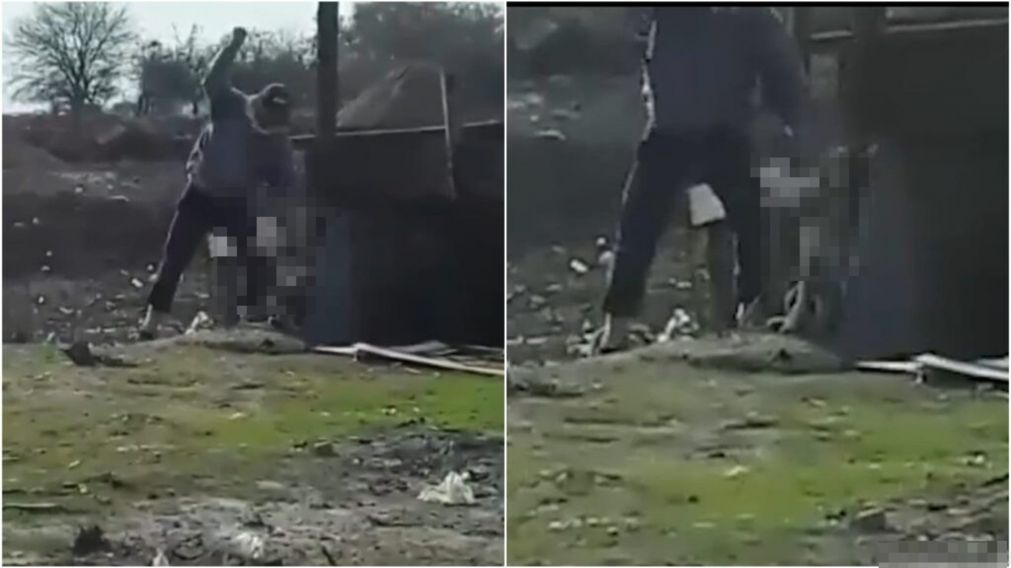 Mat� a mazazos a su perra y escap� del barrio.
