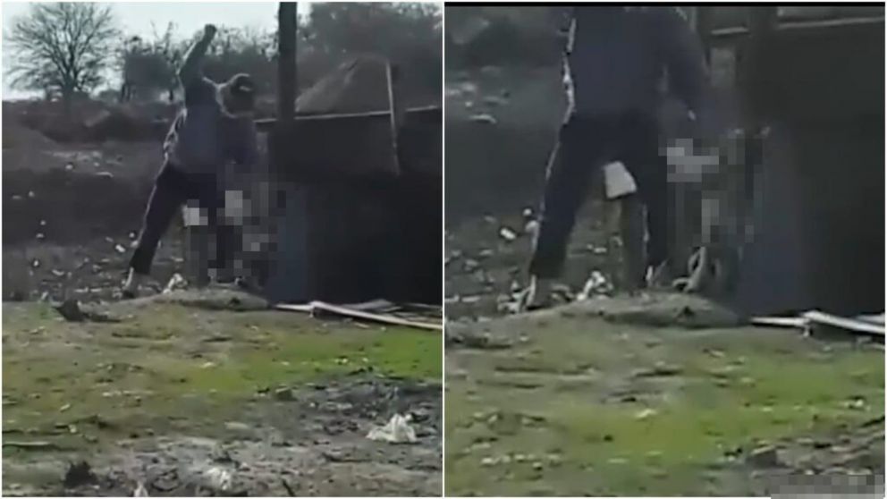 Mat� a mazazos a su perra y escap� del barrio.