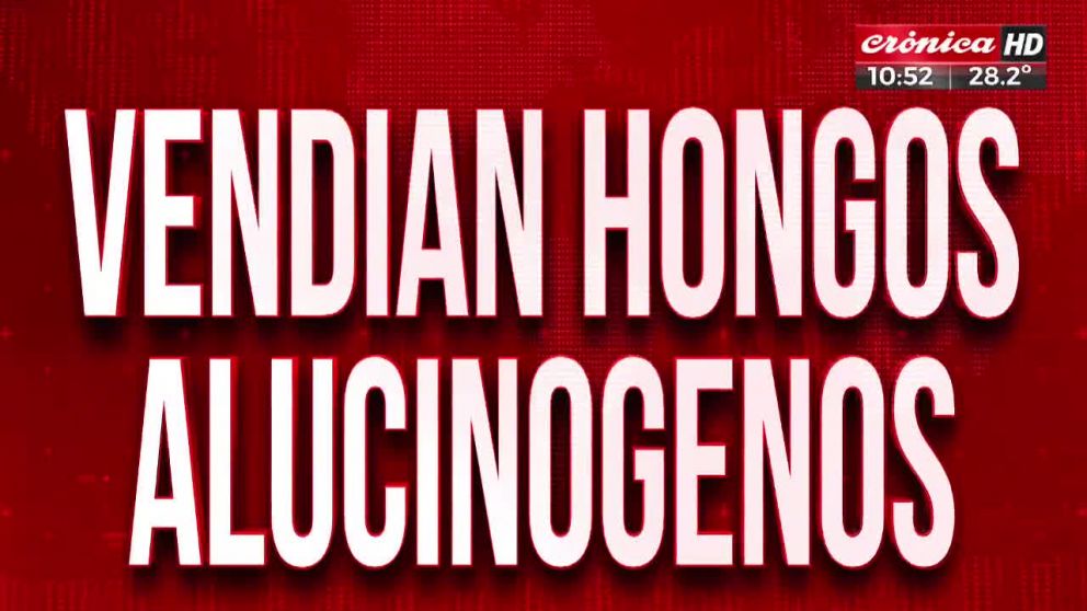 Crónica HD
