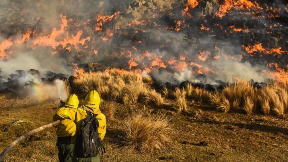 En Río Negro y Buenos Aires los focos de incendio fueron controlados.