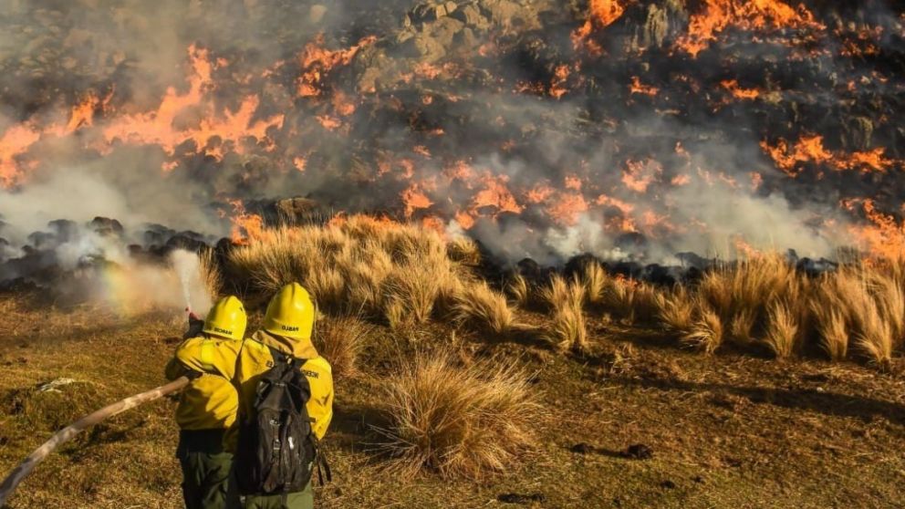 En Río Negro y Buenos Aires los focos de incendio fueron controlados.