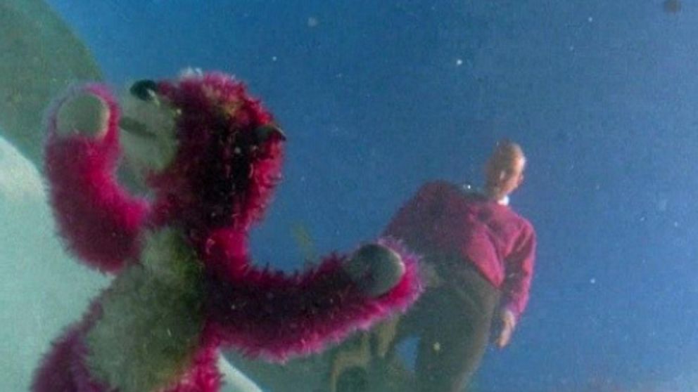 Lluvia de memes en Twitter tras la ca�da de Caramelo a la pileta: "�Fue Julieta!"