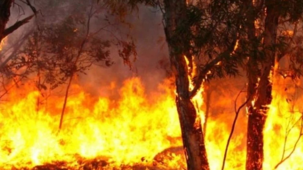 Las autoridades están preocupadas por una serie de incendios en el interior del país.