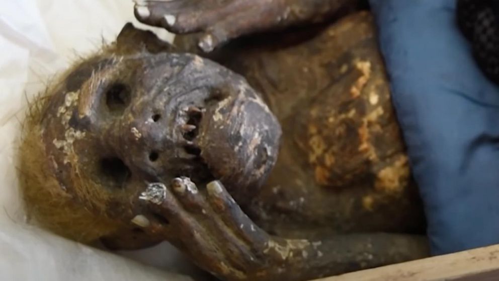 La "sirena momificada" que fue un misterio durante 300 años... hasta hoy.