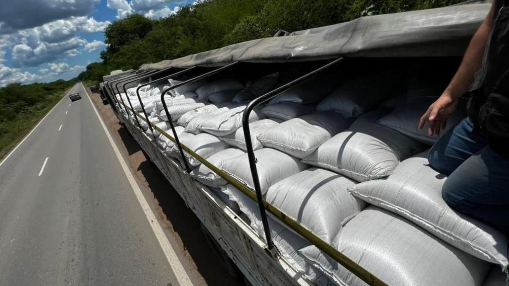 La Aduana detectó alpiste y otros cereales de contrabando en el norte del país.