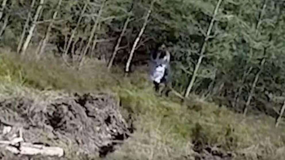 La escalofriante imagen fue captada por un dron (Captura de video).