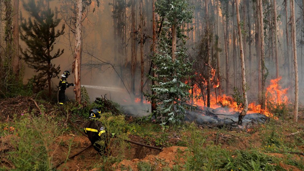 Por el momento, hay 301 incendios forestales activos en ese país, según informan desde el Gobierno chileno.