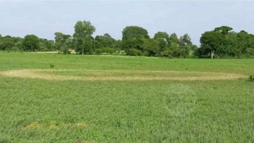 Muchos afirman que podría tratarse de un OVNI.