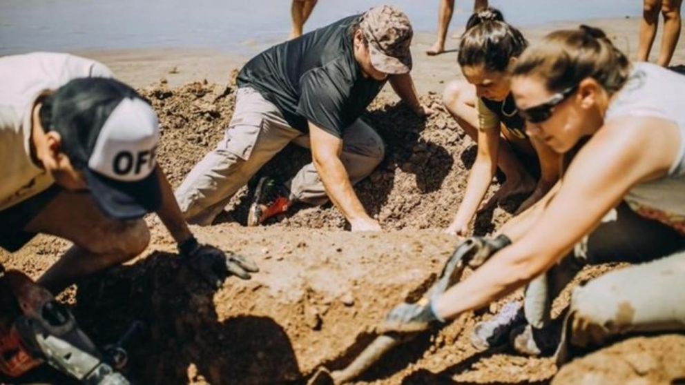 El gliptodonte fue encontrado por una pequeña en Chapadmalal (Twitter).