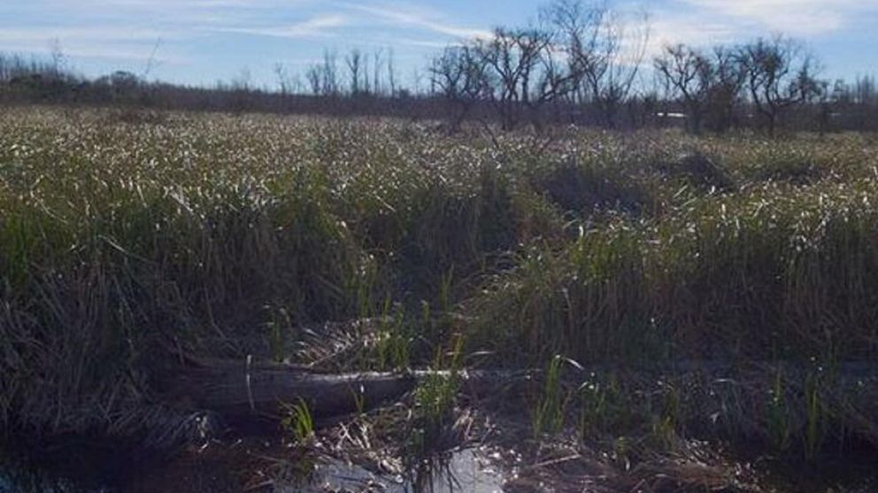 El Ministerio de Ciencia, Tecnología e Innovación de la Nación firmó la resolución para construir en Escobar el primer Centro Interinstitucional del país orientado al desarrollo sostenible