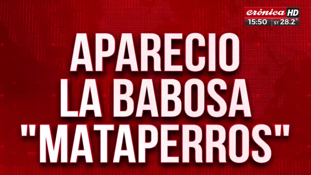 Crónica HD
