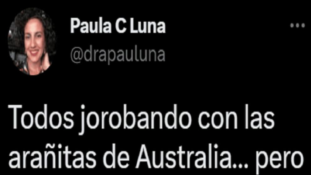 Una usuaria de Twitter descubrió una araña gigante en su cuarto de Pinamar y se volvió viral.