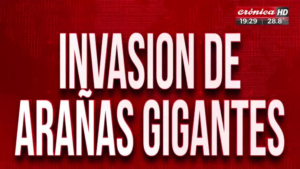 Crónica HD