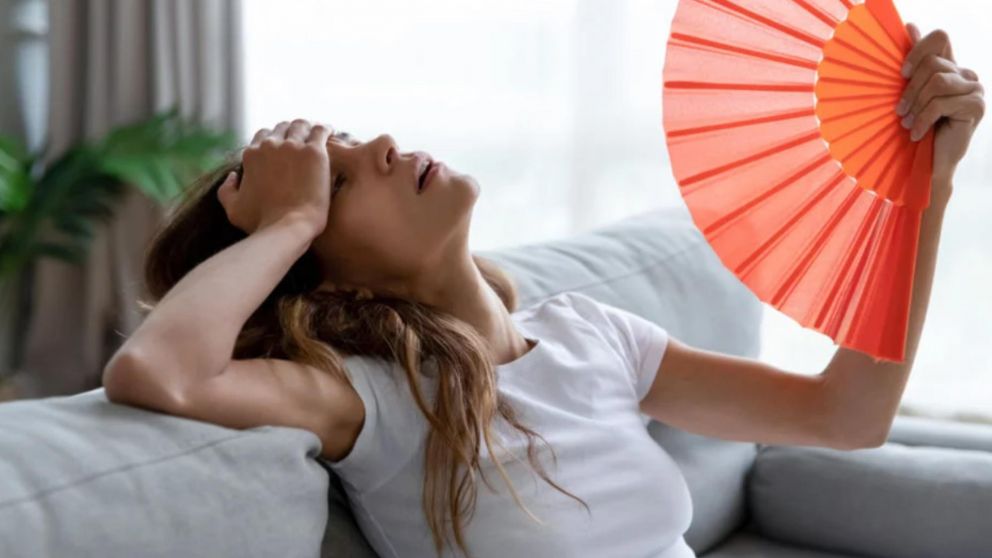 Estos aparatos refrigeran usando únicamente agua.