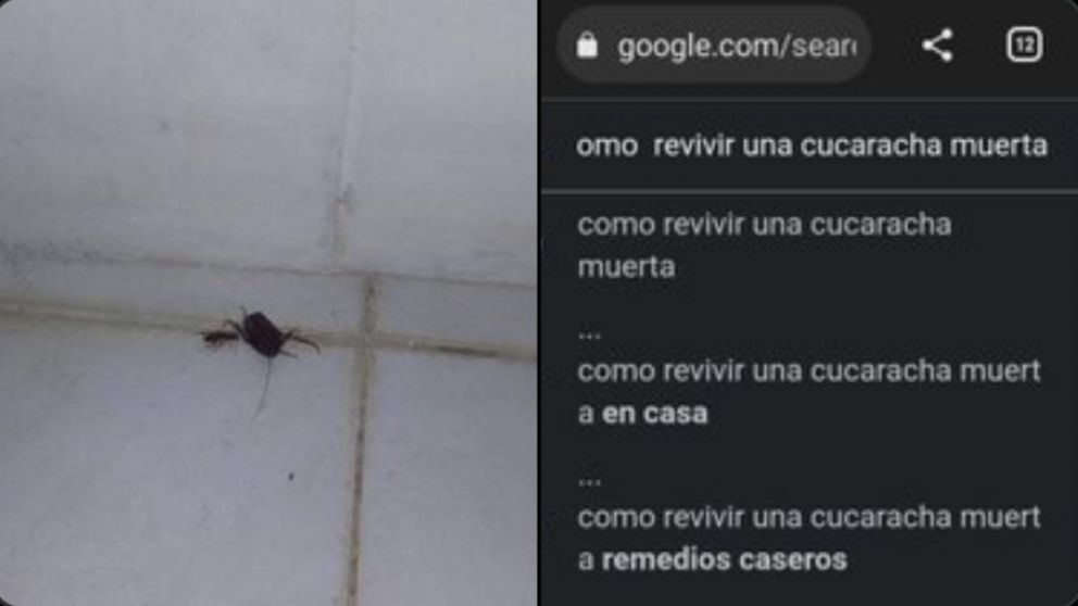 El joven rápidamente se volvió viral en Twitter.