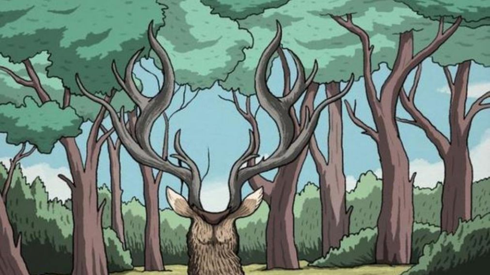 En el siguiente reto viral deberá encontrar en 10 segundos al puma que oculto en la ilustración.