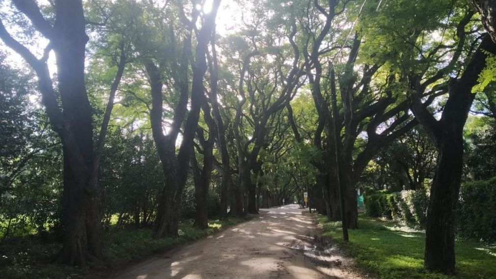 Parque Leloir, cada vez más dañado por las excesivas excepciones municipales.