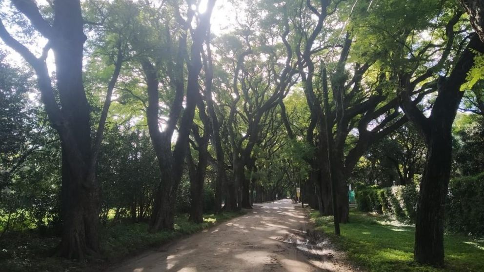 Parque Leloir, cada vez más dañado por las excesivas excepciones municipales.