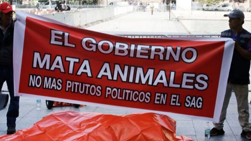 La medida fue iniciada por el dueño del zoológico privado y causó sorpresa entre los vecinos.