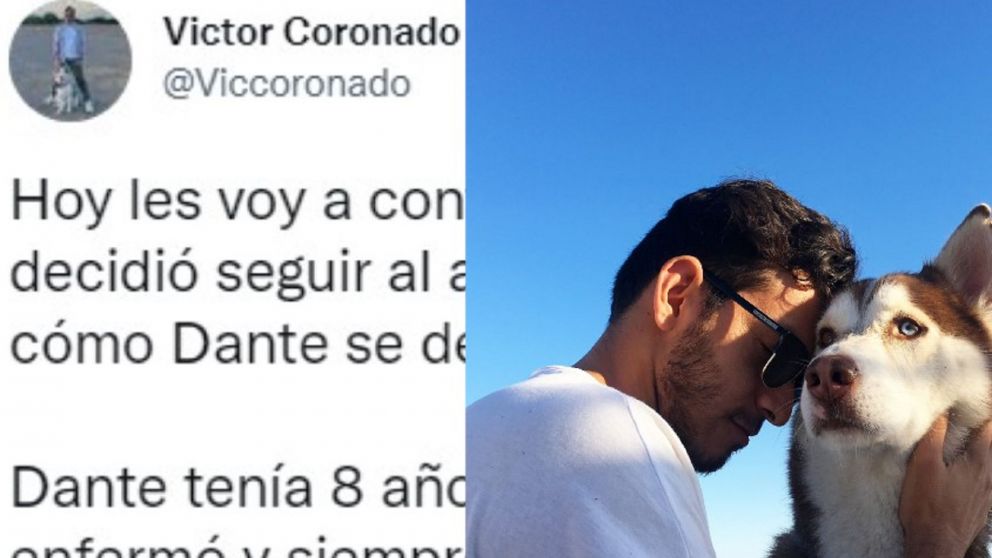 La conmovedora historia de Dante, el perro que falleció repentinamente tras la muerte de su dueño.