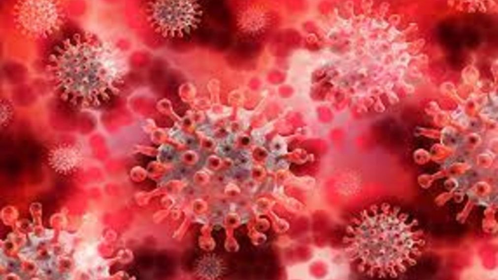 Ortro, la nueva variante de coronavirus que alerta al mundo y que podría llegar al país muy pronto.
