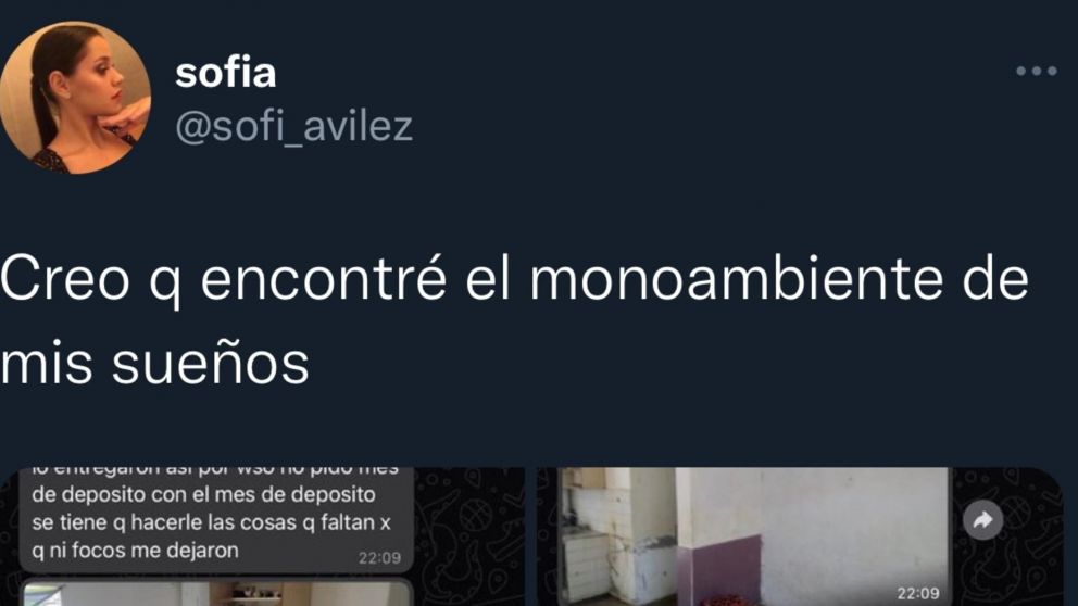El monoambiente de mis sueños: consultó por una propiedad y quedó boquiabierta con los desagradables detalles.