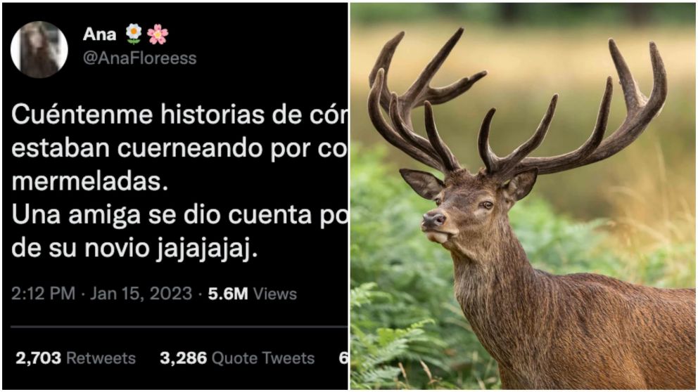 Cientos de usuarios de Twitter se "coparon" al pedido de la joven.