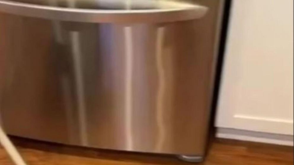 La sombra en la heladera estremeció a muchos (Captura de video).