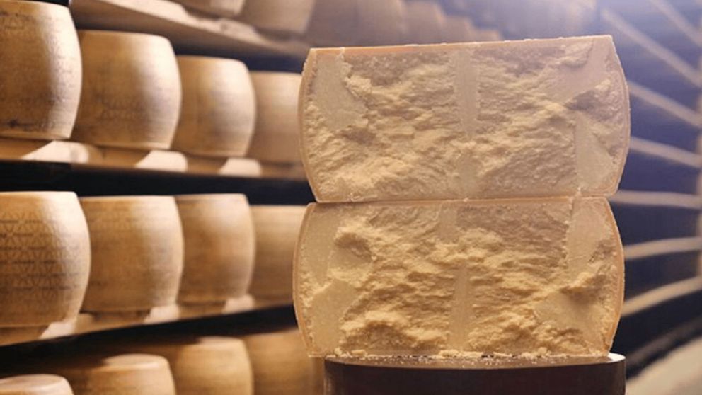 Descubrió cómo se hace el queso parmesano y asustó a todos en Twitter.